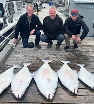 Impressive Port Renfrew halibut haul